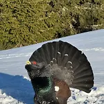 Penzion Una 3* Liptovsky Jan