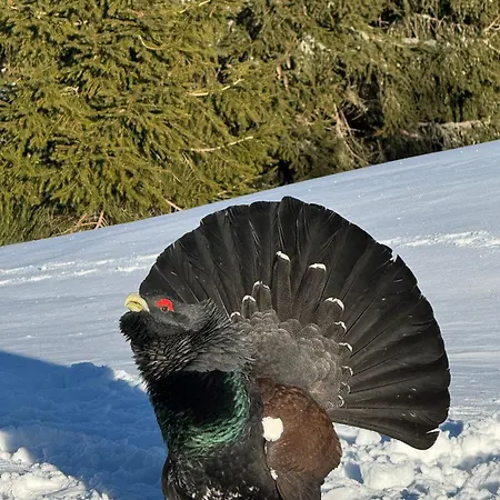 Penzion Una 3* Liptovský Ján