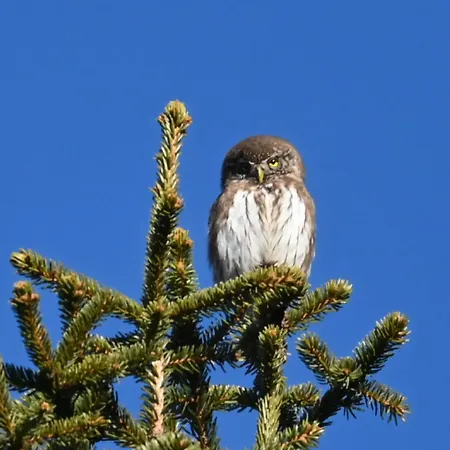 Penzion Una Vendégház
